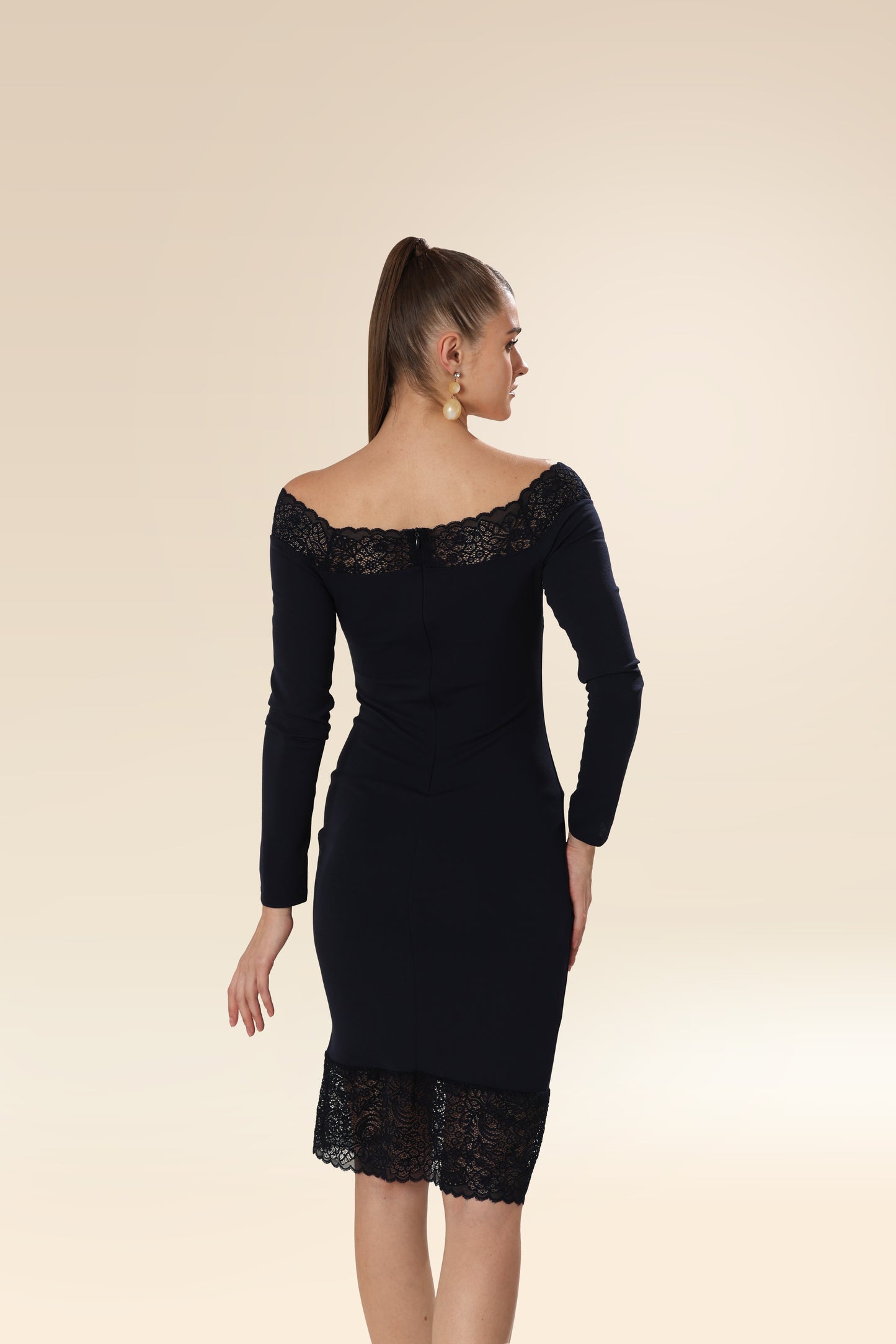 Sculpted Lace Silhouette Dress