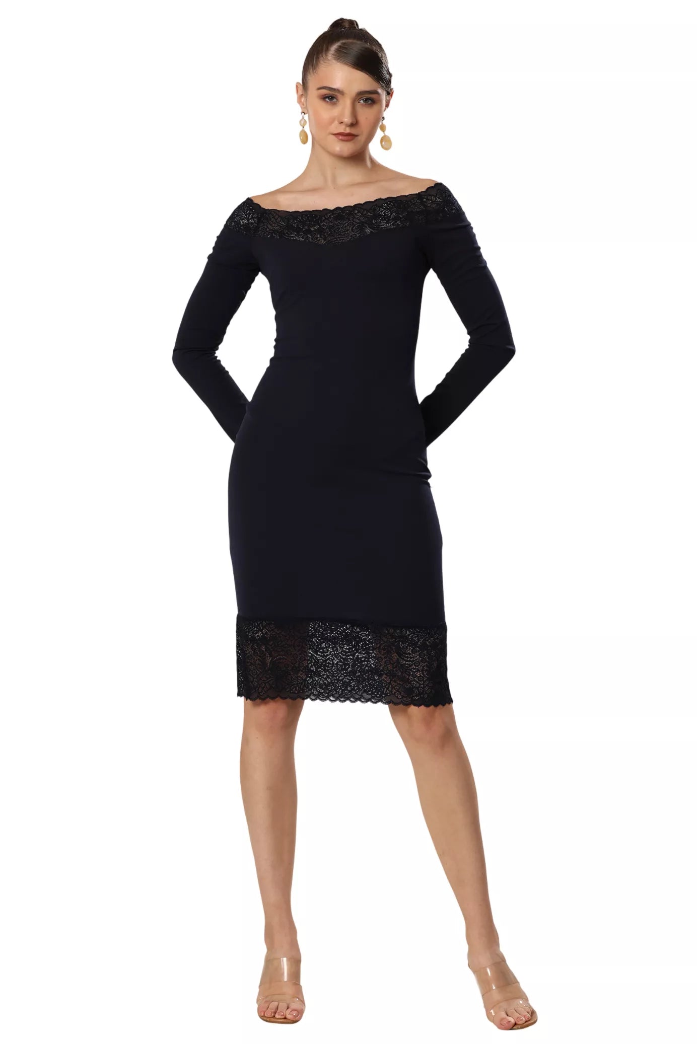 Sculpted Lace Silhouette Dress