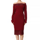 Sculpted Lace Silhouette Dress