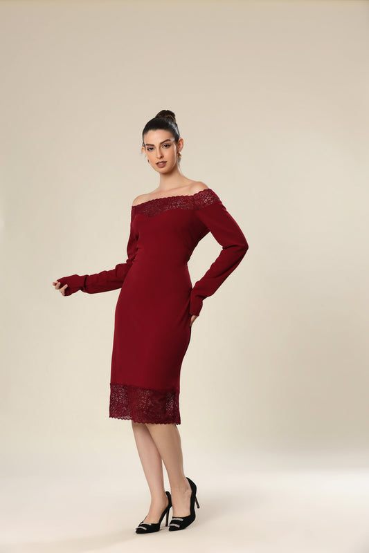 Sculpted Lace Silhouette Dress